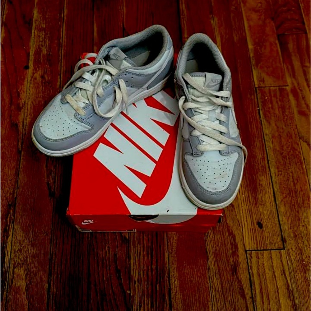 Kids Nike dunks- wolf grey
